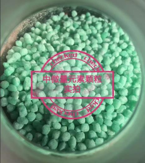 ued体育网页版:1200吨闻喜产高品质生物有机肥出口东南亚